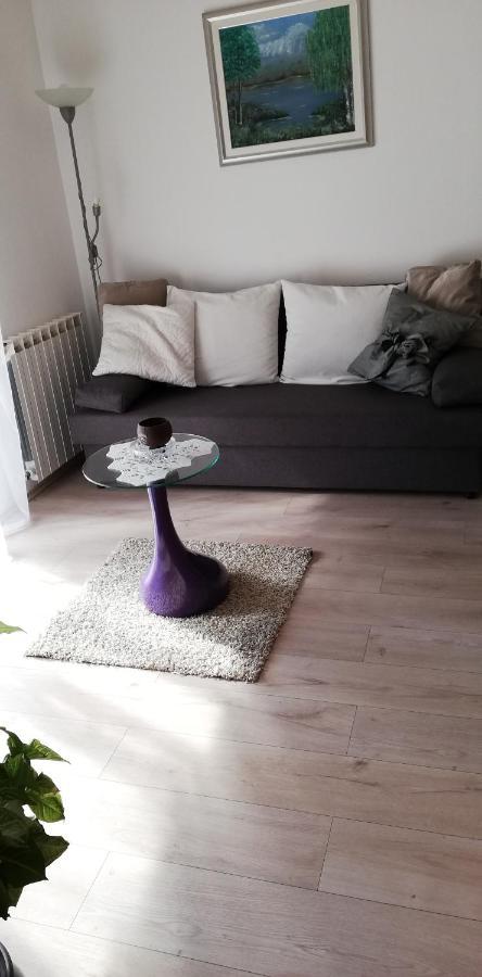Apartment Anna זאגרב מראה חיצוני תמונה